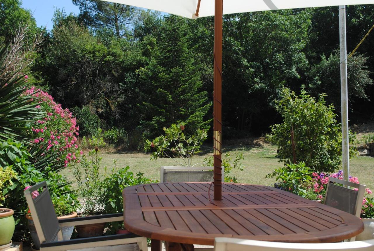 Chez Yvette , C'Est Chouette!! Bed and Breakfast Carcasona Exterior foto